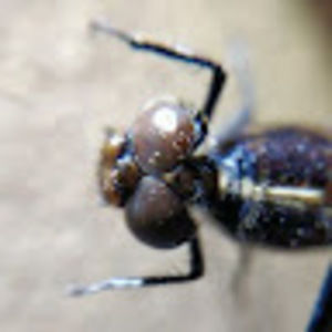 Meet your Posher, Derek